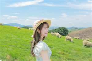 评估上海驻外使领馆对贸易的支持